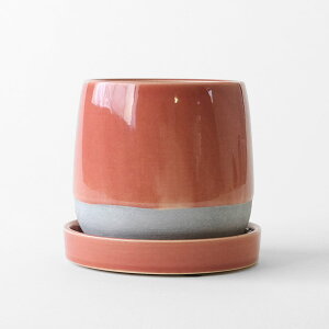 Plaisir Pot 4F13.5cm×12cm Aؔ Mt vW[ Vv  k c  ֖   F ѓ qr͗l sN T[sN ݃J[ 킢  i` C