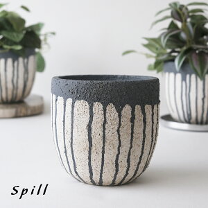 Spill Aؔ Zg Jo[ 3 4 a12cm ItzCg O[ XgCv Vv i`   킢  |gX tBJX yy~ T{e AKx  ϗt