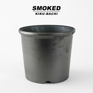 SMOKED POTy e z619.5cm×H17cm  AؔԂ    ʋC O͏ { ۉ    eRb^  fĂ  C_XgA bNK[f h