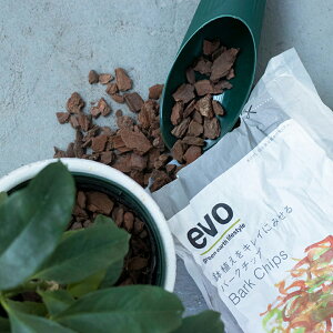 evo o[N`bv 2L }`O Jo[O STCY ϐ }` DoLABO Ԃ G{ K[fjOpi  uE F  o[N  VR  Mtg v[g 