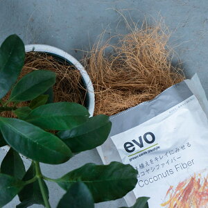 evo RRVt@Co[2L }`O Jo[O }` DoLABO Ԃ G{  F  o[N  VR K[fjOpi i` Vv yB ۉ  Mtg 