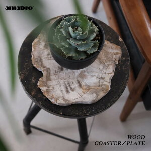y̂Iׂzamabro WOOD COASTER^PLATEyi`z] A}u ANZT[gC u   x[W  PETRIFIED ygt@ChEbh  󂯎M  _ I  