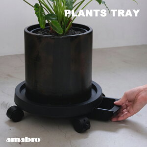 amabro^PLANTS TRAY󂯎Mtvcg[LX^[tXgbp[@\  ubN  |bgJ[g v^[悹  y Vv  ^ 10 r  y   
