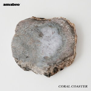 y̂IׂzCORAL COASTER amabro X  R[ VR R[X^[  z ANZT[gC u O[  󂯎M _ I  M ԑ  M ~