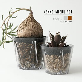 NEKKO-MIERU POT【S／3号・M／4号 】根が見える 透明 植木鉢 スリット鉢 クリア プラ鉢 衛生的 SCOOP クリスタル 排水性が良い 根腐れしにくい 観察 クリアポット スケルトン 育成向け おしゃれ シンプル サボテン アガベ コーデックス 土が見える 自由研究 茶 グレー