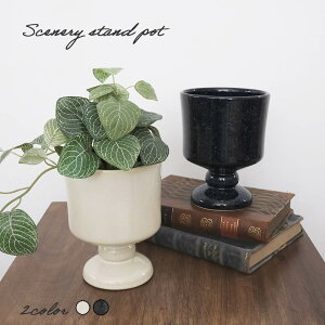 Vi[X^h|bg^Jo[ 3|bg Aؔ a11cm a10cm  핗 AC{[ lCr[ Vv i`  킢 |gX tBJX yy~ T{e AKx 