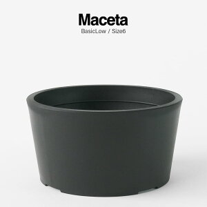 Maceta - Plastic Pot - BasicLowySize6z141mm×H75mm a127mm}Z^ v Aؔ  ubN|bg  [^Cv }bg   r Εsv lbgsv y   5  