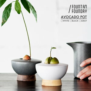 AVOCADO POT A{Jh̎ĂyFOUNTAIN/FOUNDRYzk͔| Aؔ     q JLR t} v[g Lb` A{Jh̎ Ă e A~  Ce