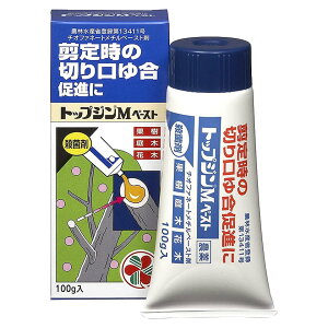 トップジンMペースト【100g】KINCHO園芸(住友化学園芸) 殺菌剤 癒合剤 剪定時の切り口ゆ合促進に! 枯れこみ防止 枝枯れ 盆栽 塊根 アガベ 多肉 グラキリス パキプス 腐り防止 ペースト剤【F