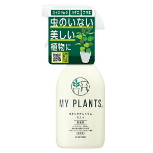 MY PLANTS ₳~Xgy250mlzKINCHO|iZFw|j E RoG n_j JCKV AuV ϗtA ގXv[  }Cvc ׃jJJXv