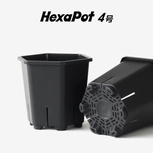 Hexa Pot 4�� �A�ؔ� �v���� �w�L�T�|�b�g �X���b�g�� �T�[�N�����O�h�~ �ʋC�� �r���� ������ ���̌��N ��Ɛ� �A�K�x �򍪐A�� �R�[�f�b�N�X �T�{�e�� �����A�� �ϗt�A�� �A���G �A���C�h �� 