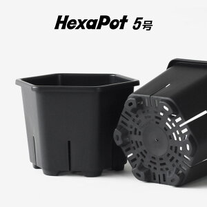 Hexa Pot 5�� �A�ؔ� �v���� �w�L�T�|�b�g �X���b�g�� �T�[�N�����O�h�~ �ʋC�� �r���� ������ ���̌��N ��Ɛ� �A�K�x �򍪐A�� �R�[�f�b�N�X �T�{�e�� �����A�� �ϗt�A�� �A���G �A���C�h �� 