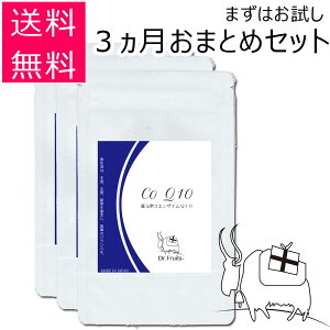 y3܂Ƃ߃ZbgzҌ^RGUCQ10