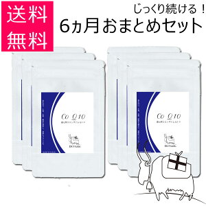 y6܂Ƃ߃ZbgzҌ^RGUCQ10