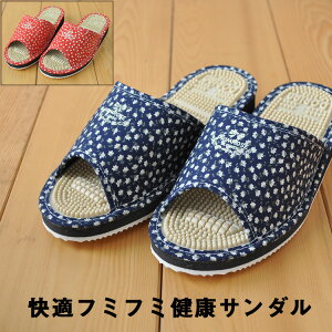 NT_ fB[X ԕ p { Y Xbp Kt~t~  GKg bh lCr[ ubN    NXbp c{ hA |ӂ݌