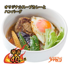 SHANTi スープカレー 北海道 札幌 超激辛 ハンバーグカレー 北海道 札幌スープカレー 冷凍カレー 激辛カレー スパイスカレー 辛味 辛い食べ物 北海道 お取り寄せグルメ スープカレーの素 薬膳カレー 高級 TVで紹介 有名店 シャンティ 冷凍パック 辛いもの好き プレゼント