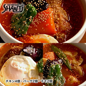 ＼ TVで紹介されました ／ 北海道 札幌 SHANTi シャンティ スープカレー 5個 セット 冷凍 スープカレーセット チキンレッグ 激辛カレールー 有名店 おいしいカレー 冷凍カレー 内祝い カレーギフト 辛い物 食べ物 辛いもの好き プレゼント 高級 ＜辛さ 2〜10ボーガ＞