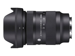 28-70mm F2.8 DG DN [CJLp]