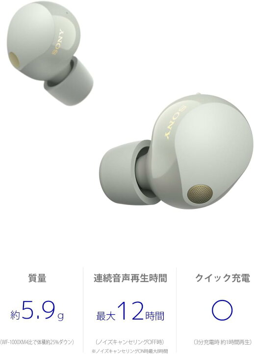 楽天市場】【外箱傷あり】WF-1000XM5 (S) [プラチナシルバー] : 沙羅の 