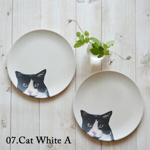 yJubileez@2Zbg@Lv[g@20cm@M@GR@|@ɂ@킢@