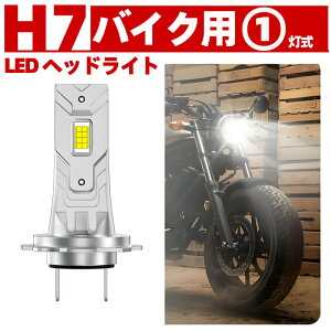 H7 �o�C�N LED �w�b�h���C�g �o���u 6500K �z���C�g �t�@�����X 1�� �z���_�� �V���o�[�E�B���O400 600 GT400 GT600 �t�H�[�T�C�g NT750�h�D�[�r�� RC59