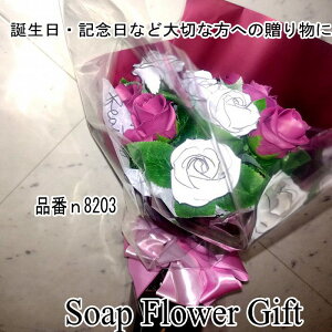 \[vt[ ԑ KN 10{ ԑ AW V{t[ \[vt[ Mtg