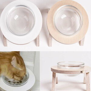 ペット 食器 犬 猫 強化 ガラス フードボウル シンプル かわいい 可愛い ペットお皿 フード お皿