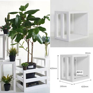 [ L[u{bNX cubebox J[{bNX ʂL[u gݑւR g\ I fBXvCbN VFt {I  [ bN CUBEBOXyꂪtɂzy􂦂z{I 