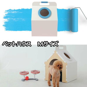 ybg nEX (MTCY)  nEX ybgnEX L nEX [12kgȓKp] ^ qLp t H ~  킢 ybgpEX ybgpi  ybgxbg