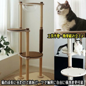 Lbg^[ X^_[h ؐ f 芴  qL VjAL  ~߃}bgt FD LnEX B ^s