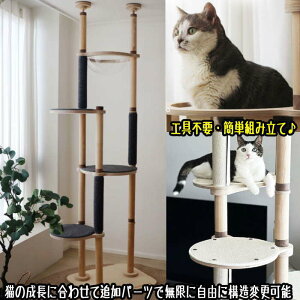 Lbg^[ ˂_ ؐ f 芴  qL VjAL  ~߃}bgt FD LnEX B ^s