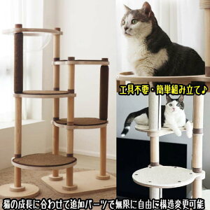 Lbg^[ ؐ f 芴  qL VjAL  ~߃}bgt FD LnEX B ^s
