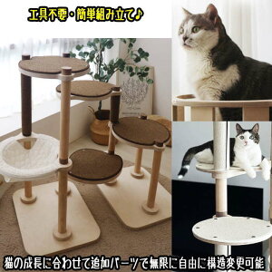 Lbg^[ ؐ f 芴  qL VjAL  ~߃}bgt FD LnEX B ^s