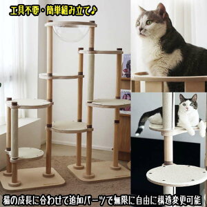 Lbg^[ v~A ؐ f 芴  qL VjAL  ~߃}bgt FD LnEX B ^s