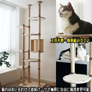 LbgnEXt Lbg^[ v~A cbp_ ؐ f 芴  qL VjAL  ~߃}bgt FD LnEX B ^s