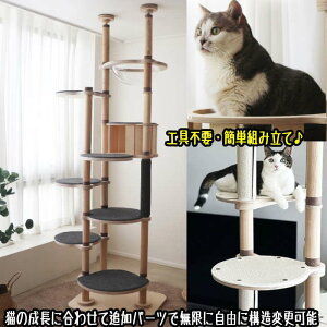 LbgnEXt Lbg^[ v~A ˂_ Lbg^[ ؐ f 芴  qL VjAL  ~߃}bgt FD LnEX B ^s