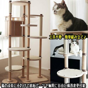 LbgnEXt Lbg^[ v~A Lbg^[ ؐ f 芴  qL VjAL  ~߃}bgt FD LnEX B ^s