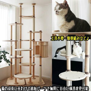 LbgnEXt Lbg^[ v~A Lbg^[ ˂_ ؐ f 芴  qL VjAL  ~߃}bgt FD LnEX B ^s