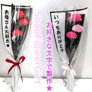 ̓  J[l[V ԑ \[vt[ 3{ ԑ ̓Mtg AW V{t[ \[vt[ Mtg