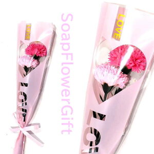 ̓  J[l[V ԑ \[vt[ 2{ ԑ ̓Mtg AW V{t[ \[vt[ Mtg