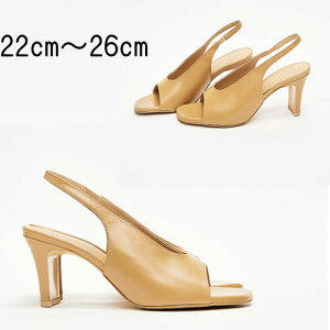 obNXgbv U[pvX {vT_ pvX I[_[V[Y TCY 傫TCY