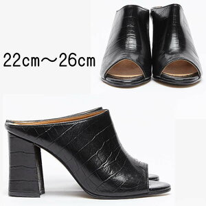 `L[q[ T{ U[T_ NR^ {vT_ pvX I[_[V[Y TCY 傫TCY