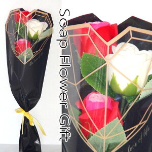 \[vt[ 3 KN 3{ ԑ AW V{t[ \[vt[ Mtg