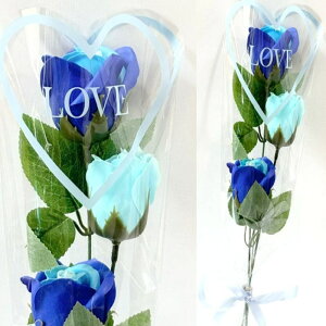 \[vt[ 3{^Cv v[g ԑ a j  KN [Y  t[\[v ͂Ȃ AWg ̓ ̓