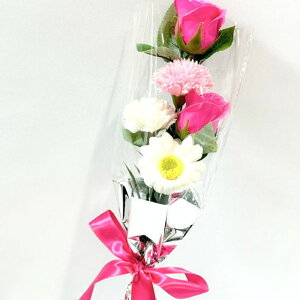 \[vt[ 5{^Cv v[g ԑ a j  KN [Y  t[\[v ͂Ȃ AWg ̓ ̓