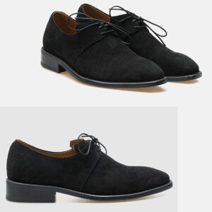 XG[hU[V[Y IbNXtH[h Y {v oxford I[_[V[Y C