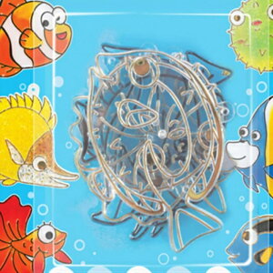 OXfR  OXfR [r ċxݍH KXG̋ XehOX fR[V