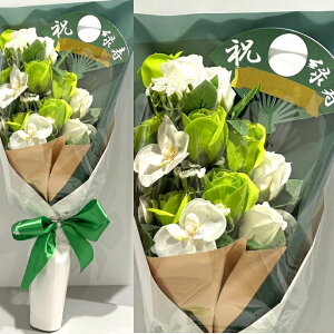 Ύ 66 j \[vt[ ԑ KN 20{ ԑ AW V{t[ \[vt[ Mtg