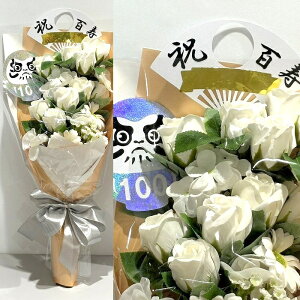 S 100 j \[vt[ ԑ KN 20{ ԑ AW V{t[ \[vt[ Mtg