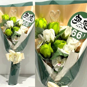 Ύ 66 j \[vt[ ԑ KN 10{ ԑ AW V{t[ \[vt[ Mtg